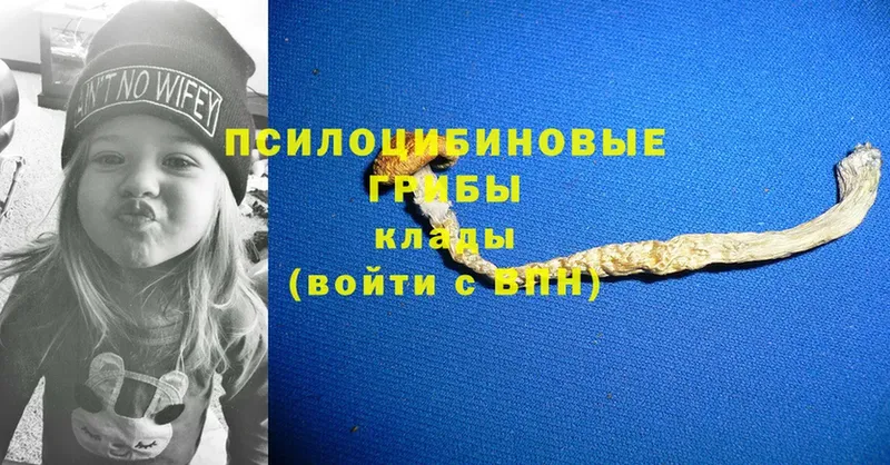 Галлюциногенные грибы Magic Shrooms  где купить наркоту  Татарск 